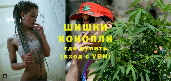 ПСИЛОЦИБИНОВЫЕ ГРИБЫ Балахна