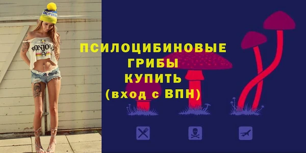 ПСИЛОЦИБИНОВЫЕ ГРИБЫ Балахна