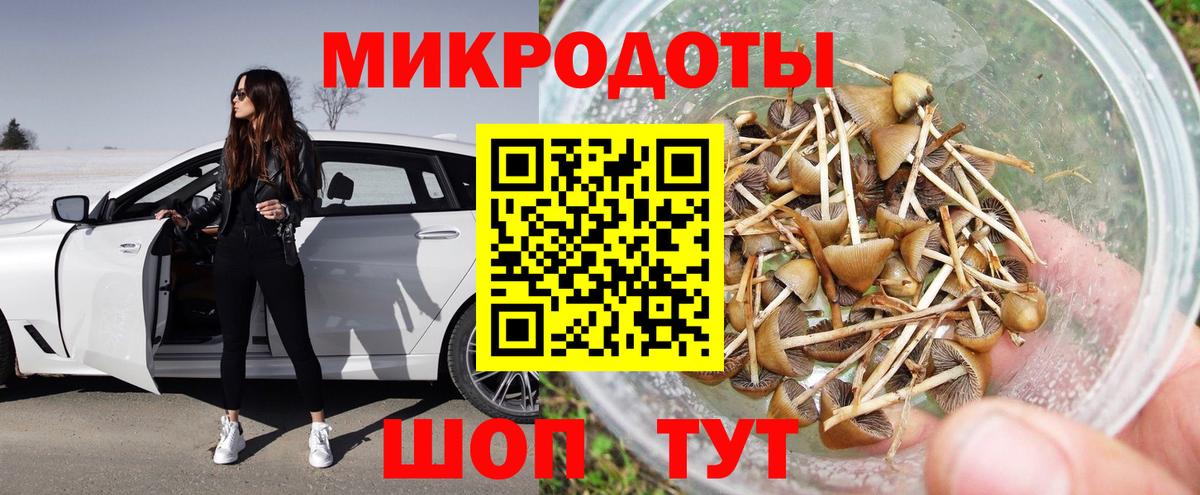Псилоцибиновые грибы Psilocybine cubensis  Вход с VPN  Краснокаменск 
