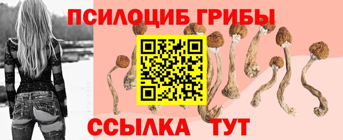 Псилоцибиновые грибы мухоморы Краснокаменск